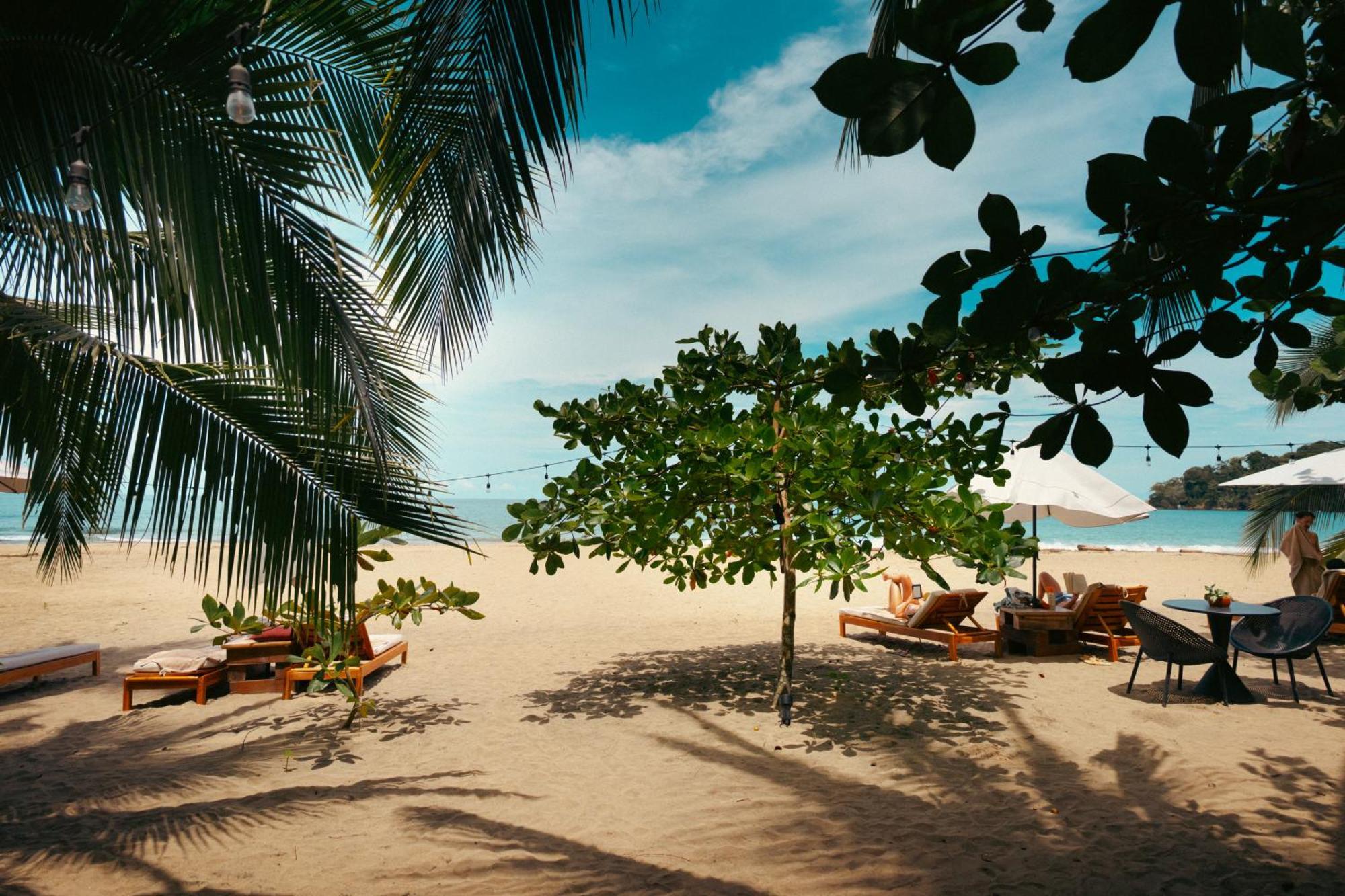 Awa Beach Hotel Puerto Viejo de Talamanca Dış mekan fotoğraf