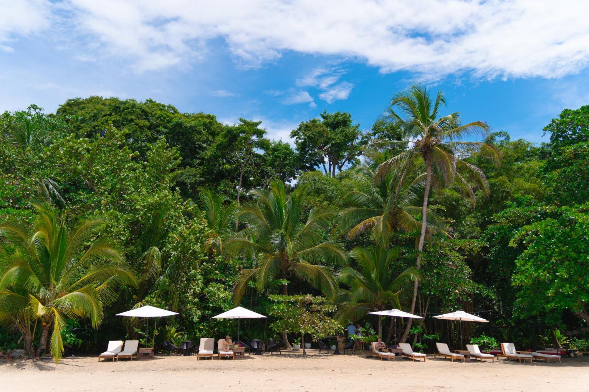 Awa Beach Hotel Puerto Viejo de Talamanca Dış mekan fotoğraf